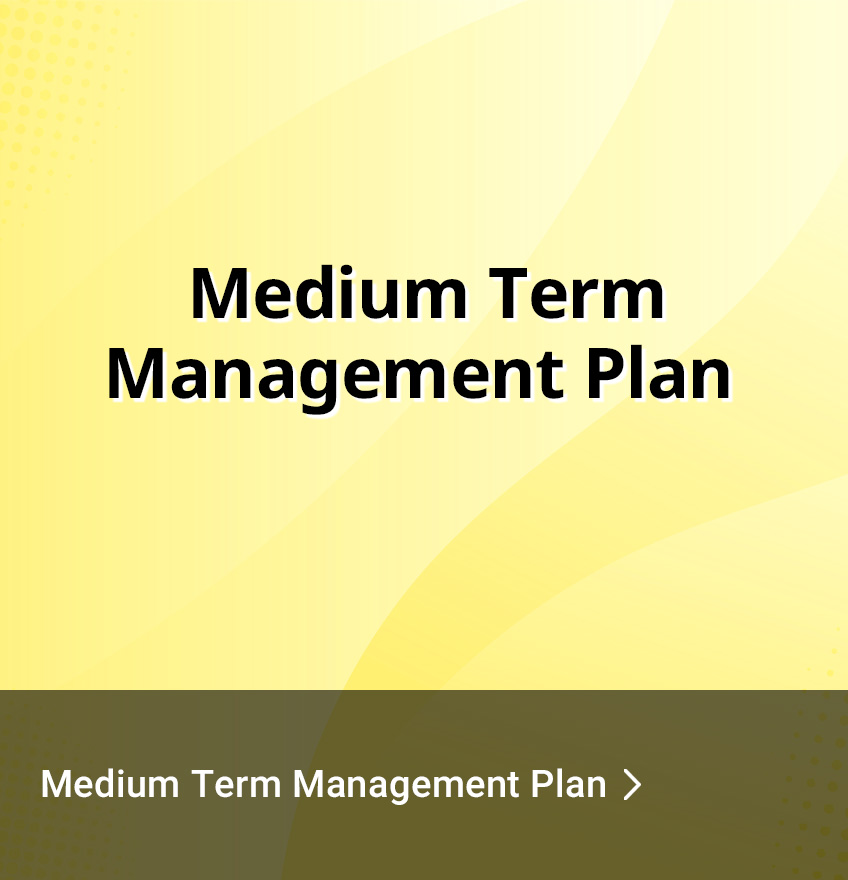 Medium Term Management Plan